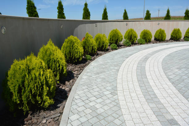 Best Best Driveway Pavers  in Three Lakes, FL